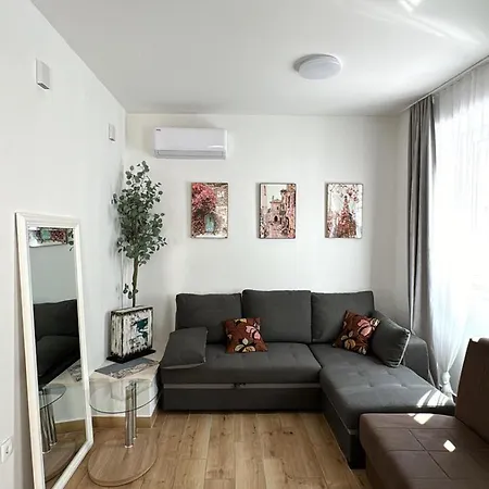 Palloma 3*
